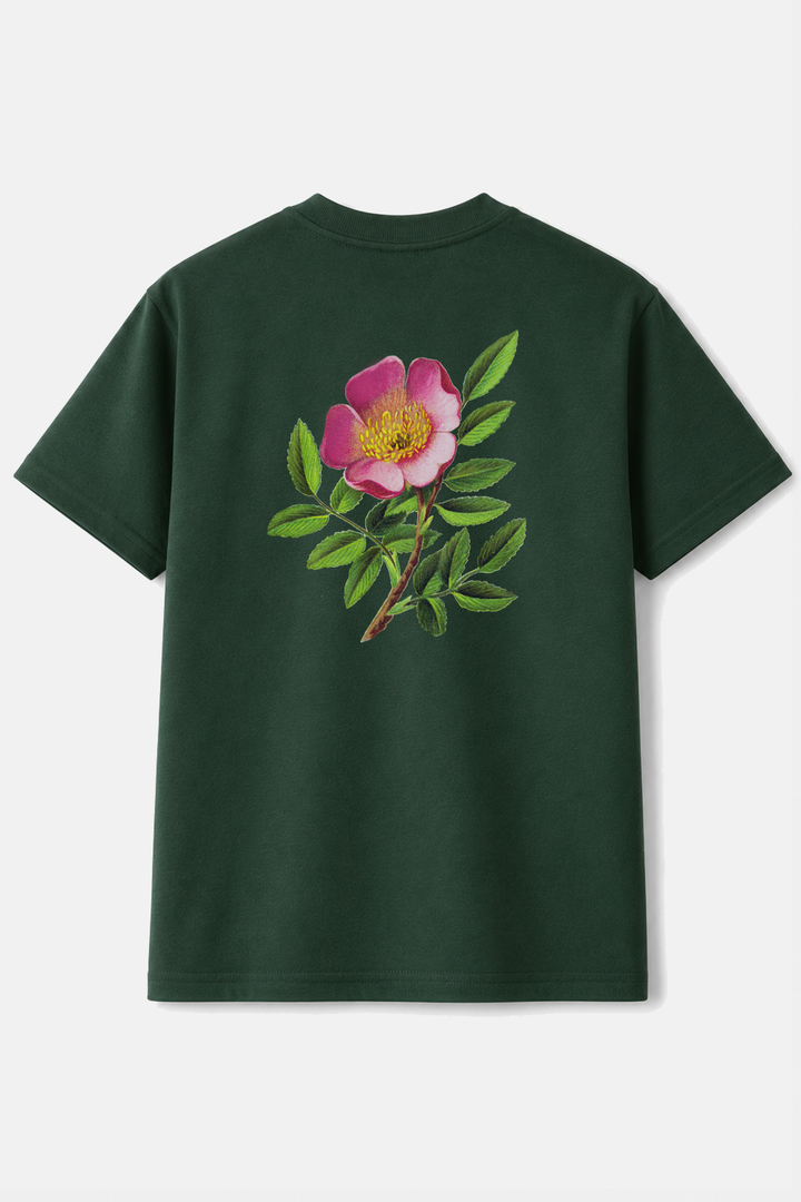 NEW 2026 T-shirt Waldstätten Mountain (UNISEX)