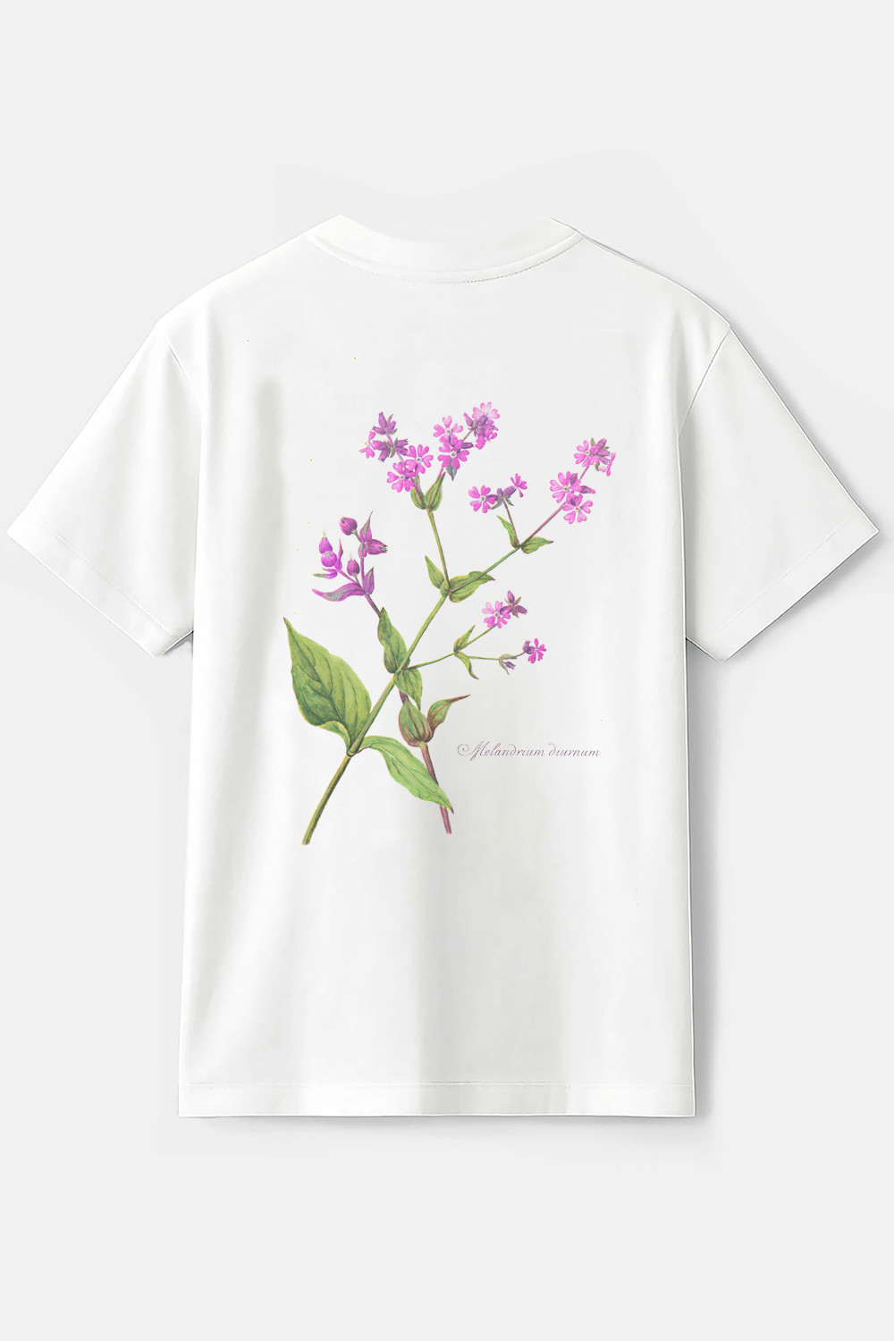 T-shirt Melandrium back