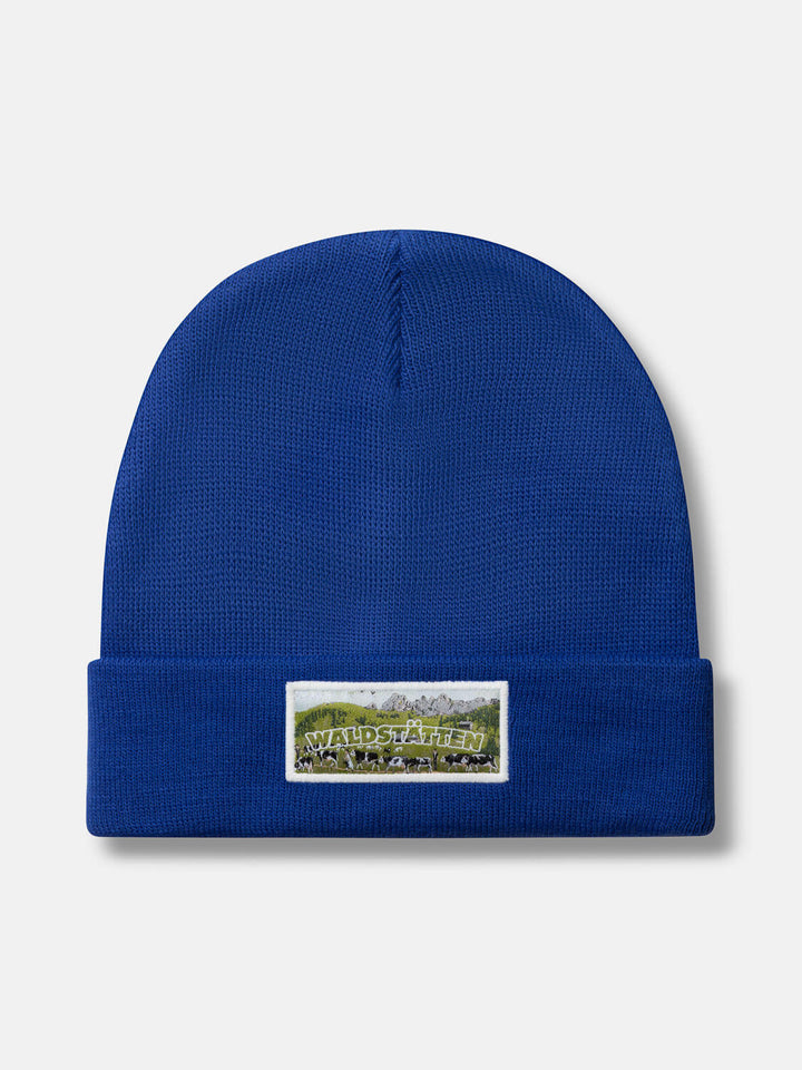 NEW 2026 Beanie Unisex Poya