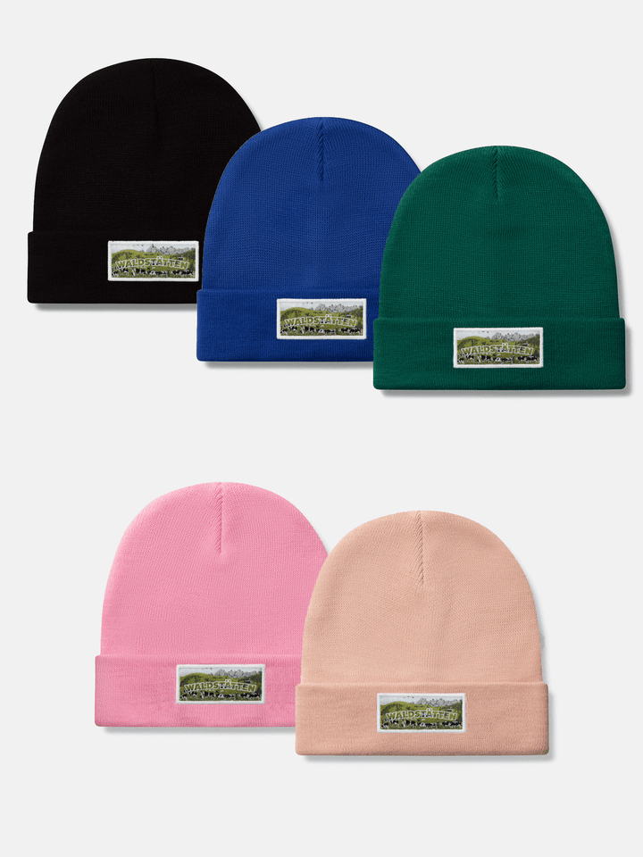 NEW 2026 Beanie Unisex Poya